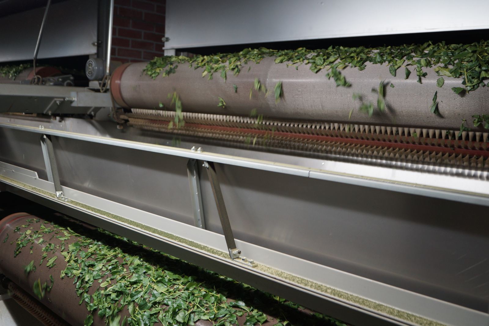 Tea processing equipment