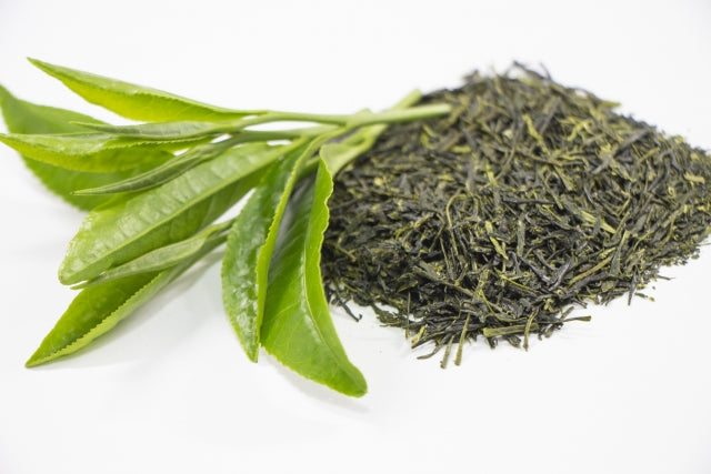 Matcha vs. Green Tea: What’s the Difference and Why It Matters